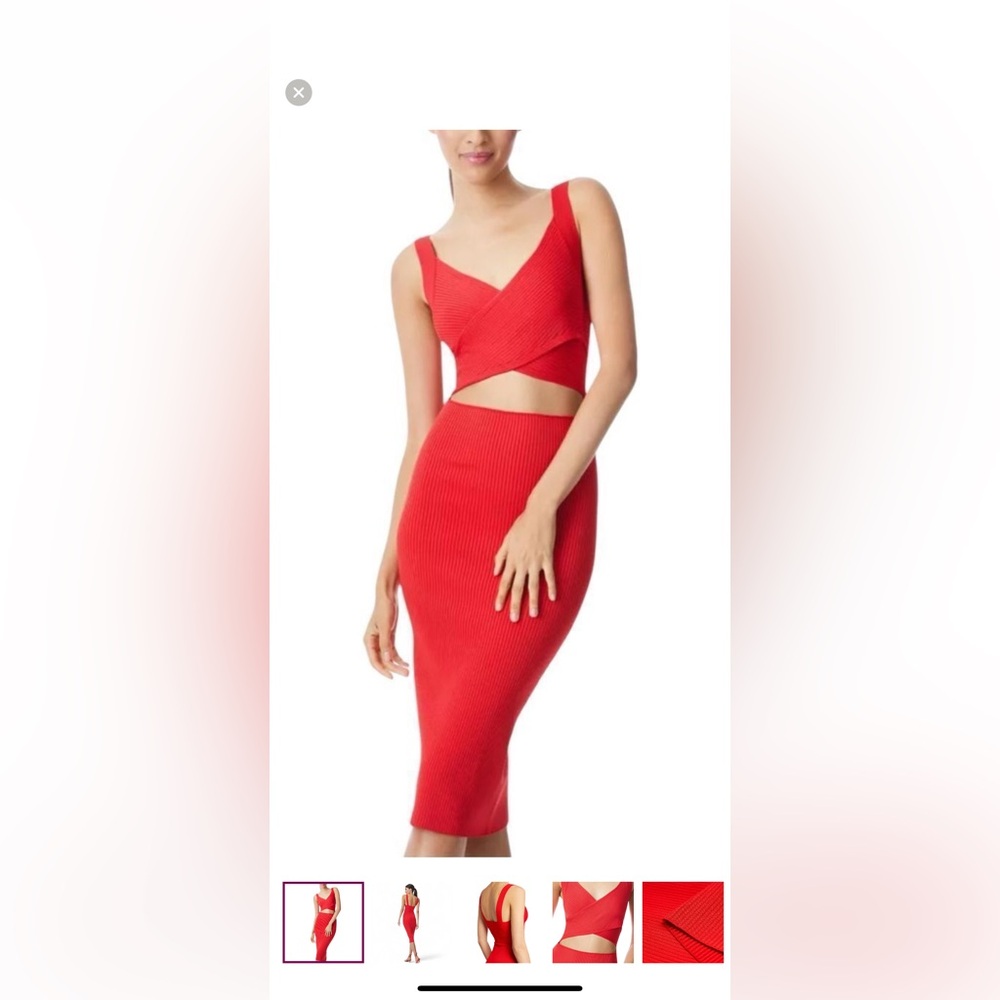 Alice and Olivia Dress